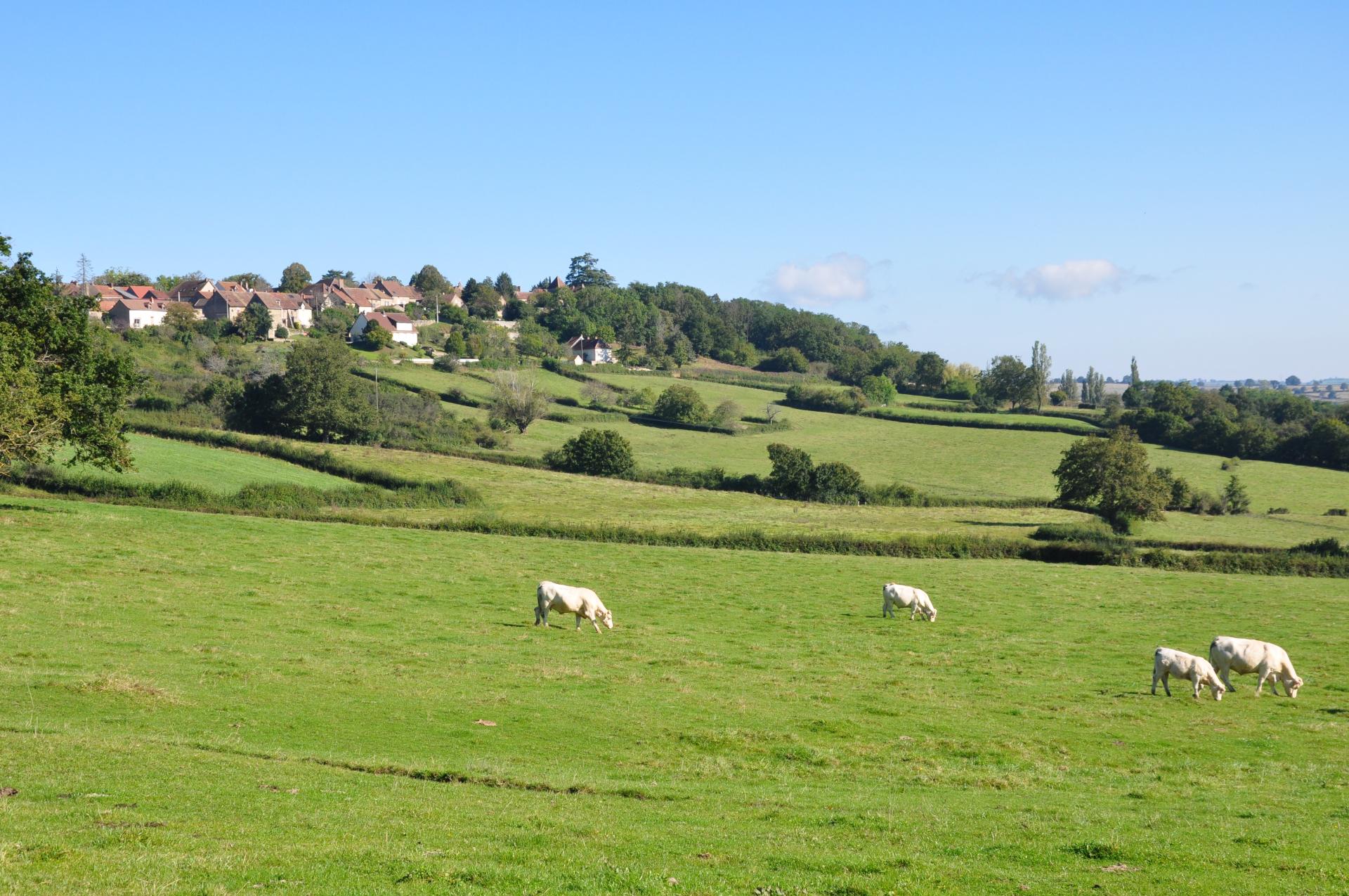 paysage Marcilly